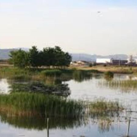 Apartamento Cerca De Playa Y Montana Ideal Familias O Relax Puzol Bagian luar foto