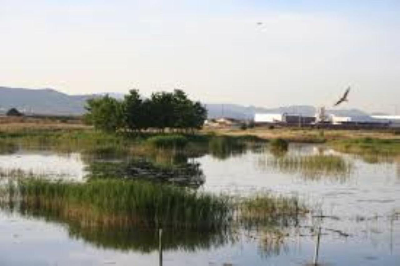 Apartamento Cerca De Playa Y Montana Ideal Familias O Relax Puzol Bagian luar foto