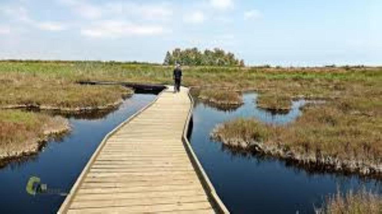 Apartamento Cerca De Playa Y Montana Ideal Familias O Relax Puzol Bagian luar foto