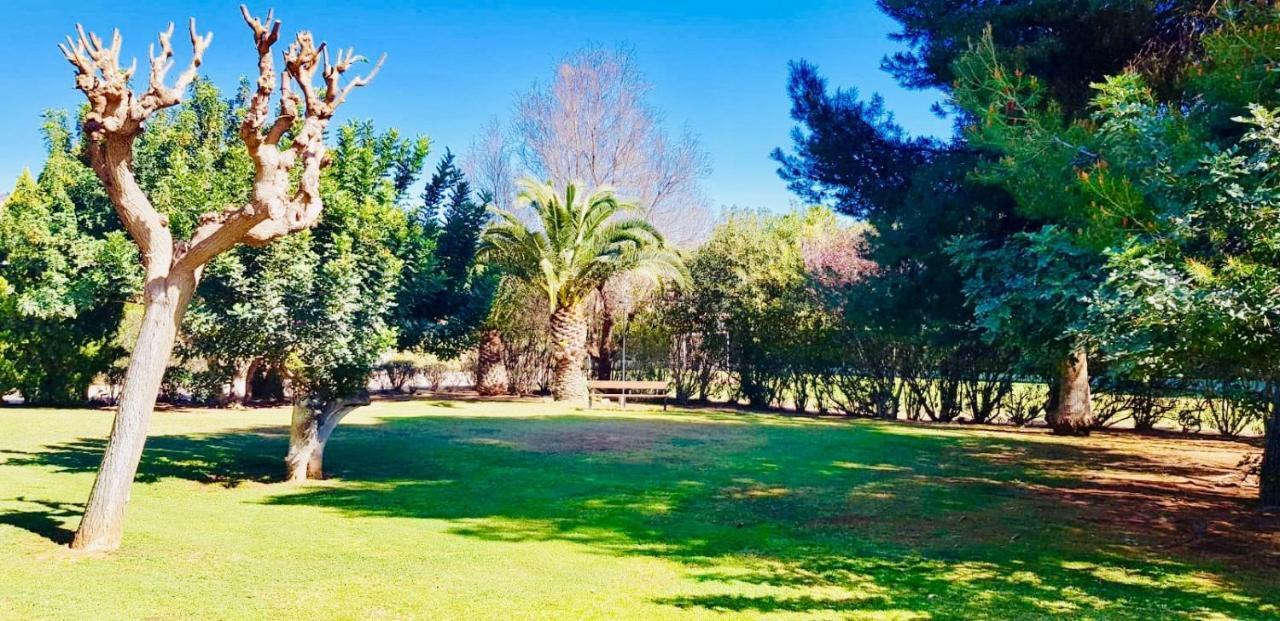 Apartamento Cerca De Playa Y Montana Ideal Familias O Relax Puzol Bagian luar foto